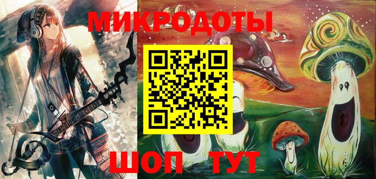 Псилоцибиновые грибы Psilocybe  Псилоцибиновые грибы Psilocybine cubensis  Вход с VPN  Осинники 