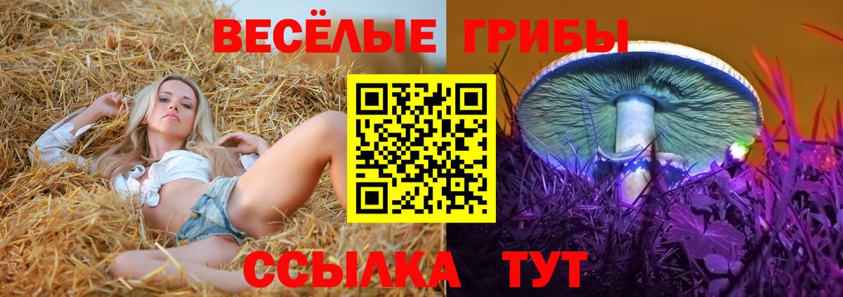 Галлюциногенные грибы мухоморы Осинники